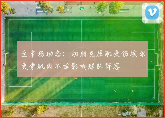 全市场动态：切利克屈肌受伤埃尔莫索肌肉不适影响球队阵容
